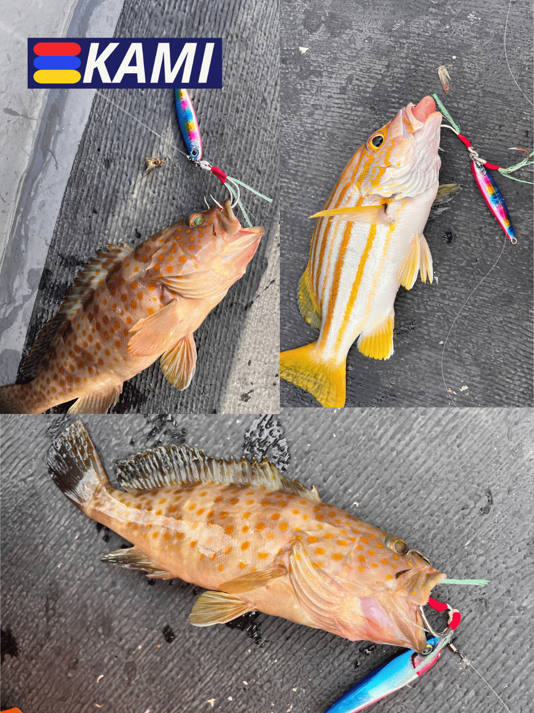 KAMI Light Jigging Assist Hooks